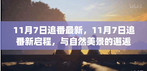 11月7日追番新启程，与自然美景的邂逅，探寻内心平和角落之旅