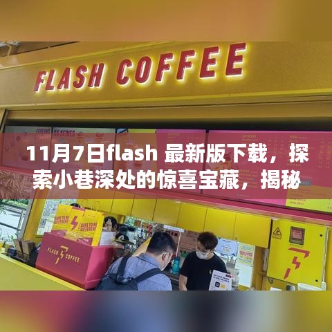 探索小巷深处惊喜宝藏，揭秘隐藏版特色小店与最新Flash下载体验——11月7日最新版Flash下载指南