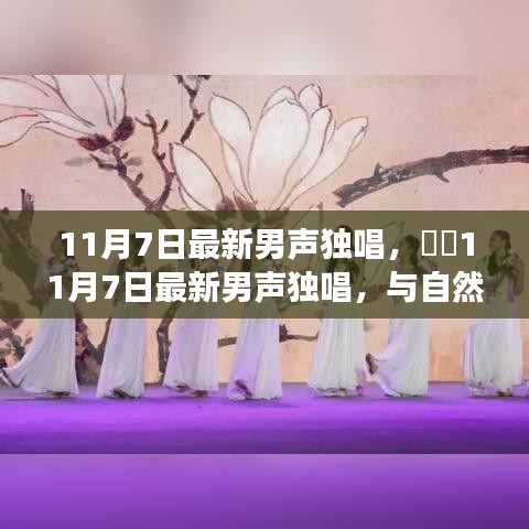 项目介绍 第122页