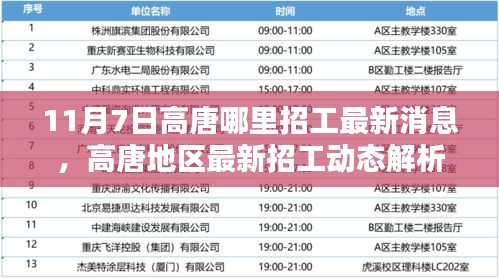 11月7日高唐最新招工动态解析与深度测评报告