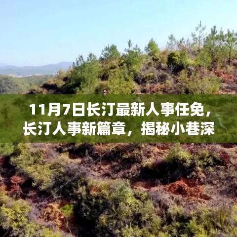 长汀人事任免新篇章，揭秘小巷特色小店与环境魅力