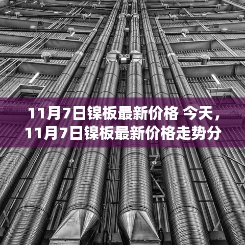 今日镍板最新价格走势分析，多方观点碰撞与个人见解（11月7日）