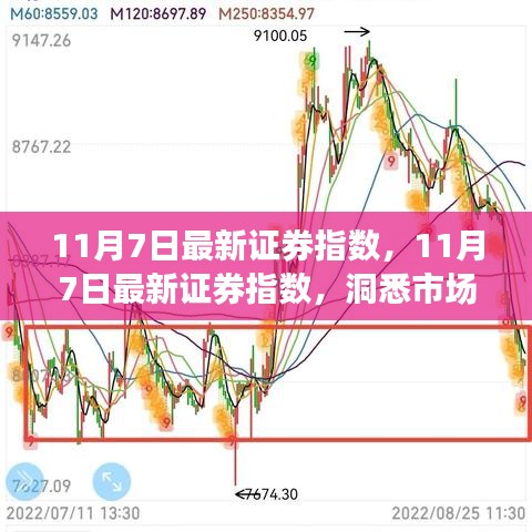 11月7日最新证券指数深度解析，洞悉市场脉动，把握投资先机