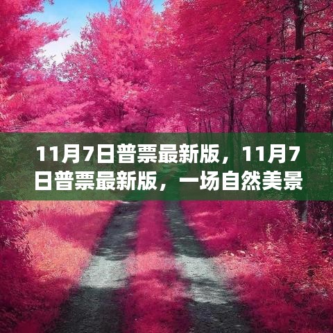 11月7日普票最新版，自然美景之旅，寻找内心的平和与宁静