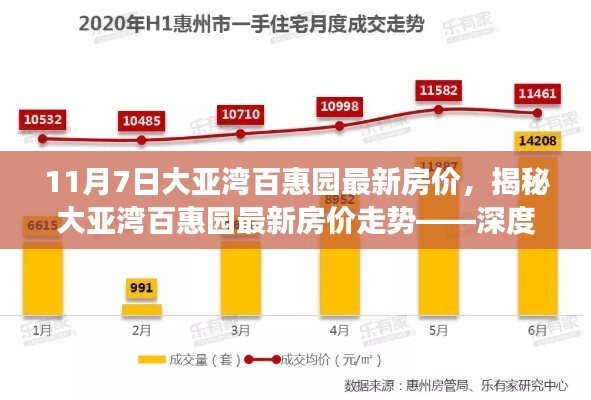 大亚湾百惠园最新房价走势深度解析，数据、趋势与未来展望（11月最新更新）