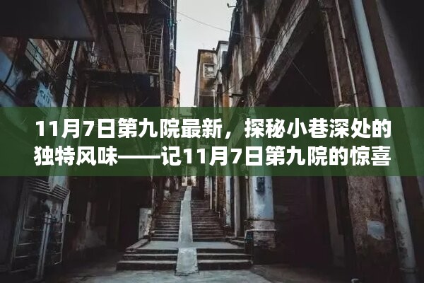 探秘第九院，小巷深处的独特风味揭秘之惊喜之旅（11月7日最新报道）