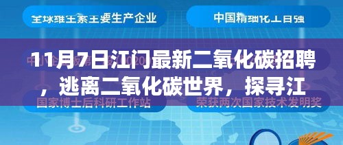 江门二氧化碳招聘启事，启程心灵之旅，探寻自然秘境的冒险家招募！