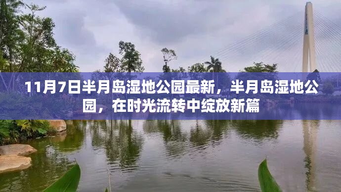 时光流转中的新篇章，半月岛湿地公园最新动态揭秘