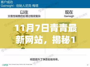 揭秘11月7日青青最新网站，三大要点深度解读报告发布