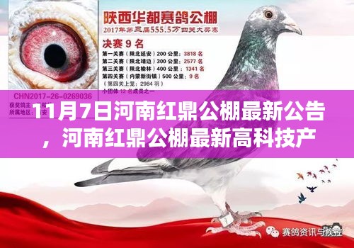 河南红鼎公棚最新高科技产品公告，未来科技魅力体验日