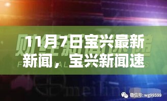 11月7日深度解析，宝兴最新新闻速递