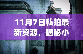 11月7日私拍最新资源，揭秘小巷深处的独特风味——探寻私拍最新资源的神秘角落