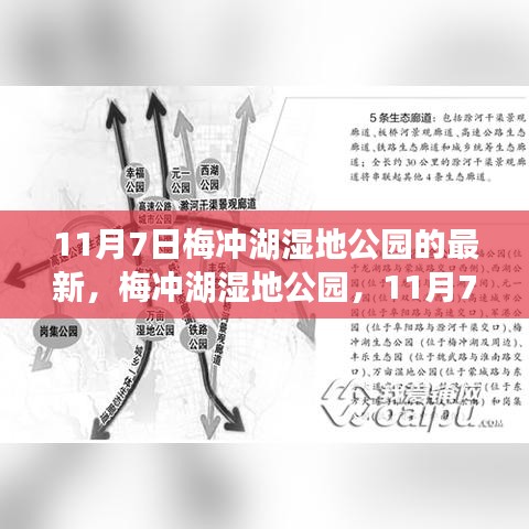 梅冲湖湿地公园，11月7日新篇章开启