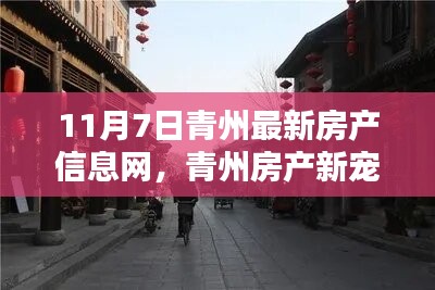 探寻青州房产新宠，11月7日最新房产信息与小巷深处的独特风情