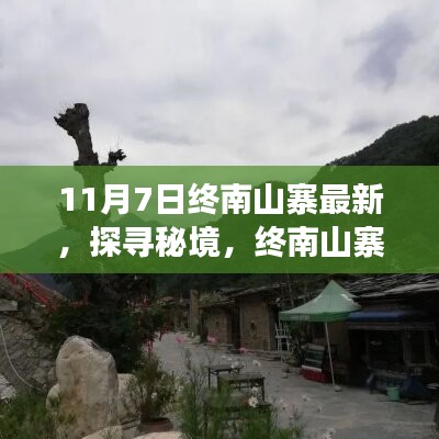 探寻秘境之旅，终南山寨之旅的心灵净土与自然的共舞（最新报道）