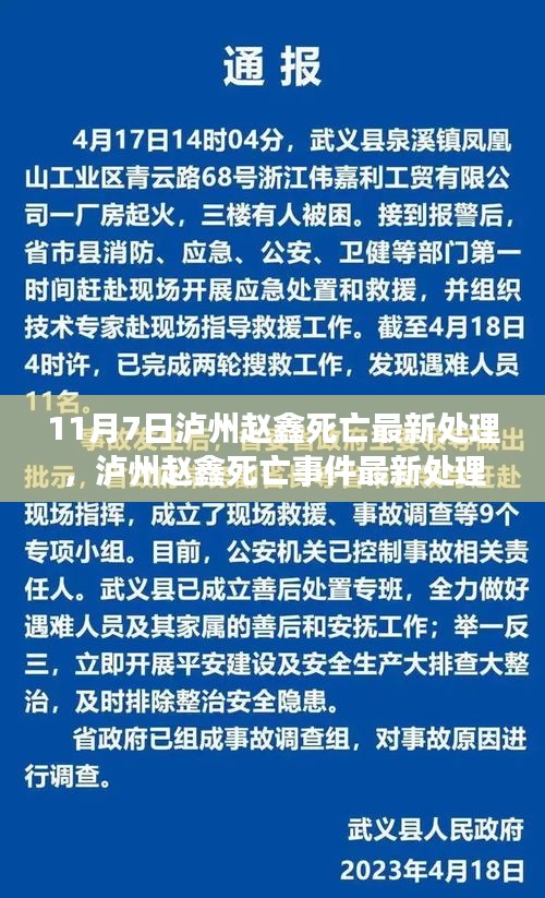 泸州赵鑫死亡事件最新处理结果，深度分析与观点阐述