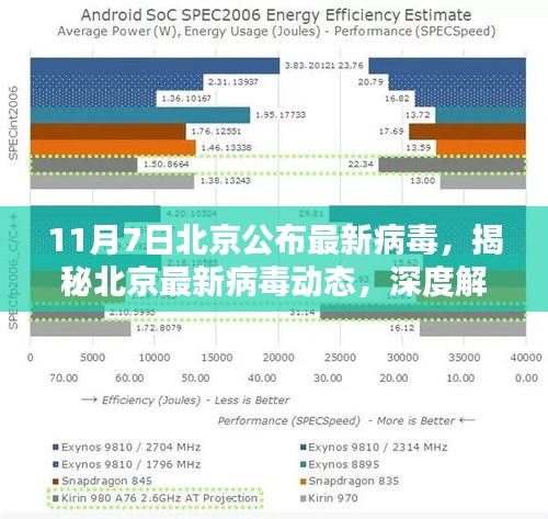 北京最新病毒动态深度解析，揭秘、应对策略与最新更新（11月7日）