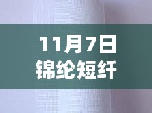 11月7日锦纶短纤前沿报价，智慧纤维科技体验的新纪元