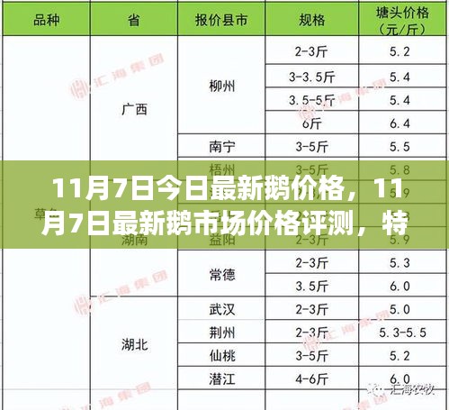 最新鹅价评测报告，特性、使用体验与竞品对比