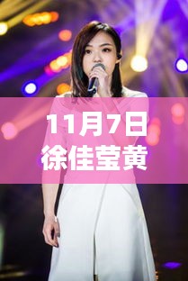 11月7日徐佳莹与黄致列的最新动态，音乐界瞩目时刻