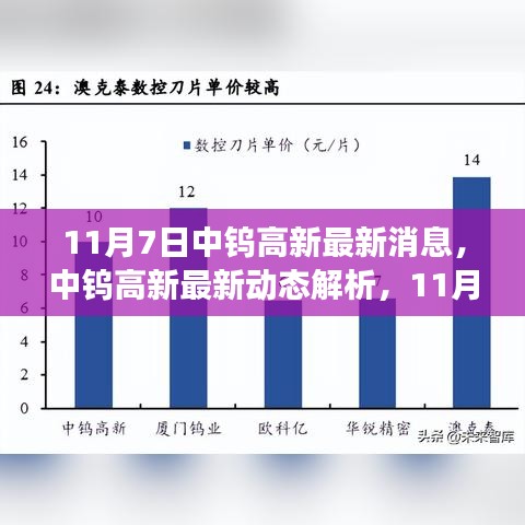 中钨高新最新动态解析，多维视角下的深度解读