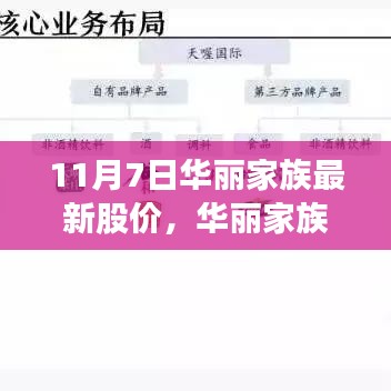 揭秘，华丽家族最新股价走势解析与深度解读，股市风云揭秘！