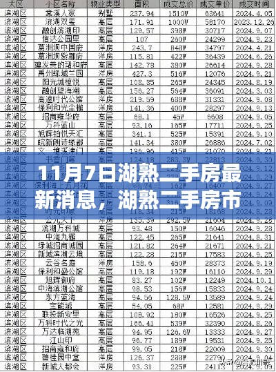 湖熟二手房市场最新动态解析，11月7日深度解读市场脉动