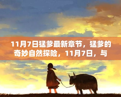 猛爹的奇妙自然探险，与宁静美景的不解之缘（最新章节 11月7日）