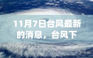 台风下的美食探秘，隐秘巷弄中的特色小店故事