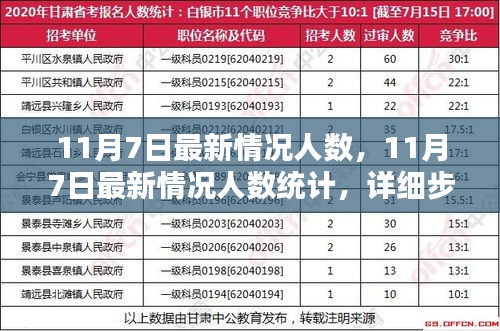 11月7日最新人数统计情况及详细步骤指南