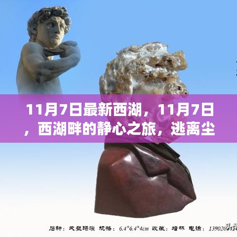 11月7日西湖畔的静心之旅，逃离喧嚣，探寻内心平和的旅程