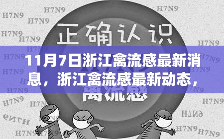 浙江禽流感最新动态揭秘，11月7日最新消息更新