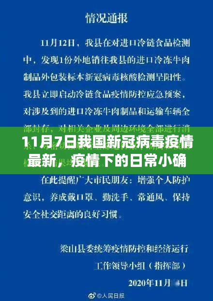 11月7日疫情下的日常小确幸，阳光与温情的交织