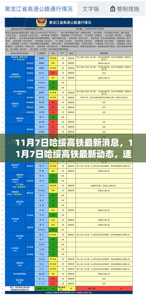 哈绥高铁最新动态，速度与时代的共鸣（11月7日更新）