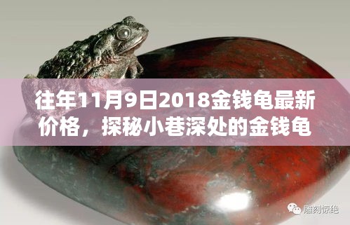 探秘金钱龟宝藏，最新价格揭秘与深度解析（2018年11月9日）