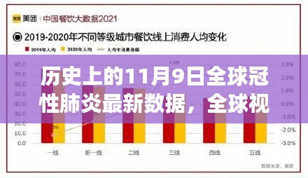 历史上的11月9日全球冠性肺炎最新数据洞察，全球视角下的疫情观察与洞察