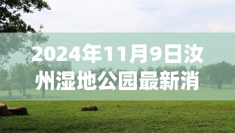 汝州湿地公园新篇章揭秘，自然探索与心灵宁静之旅的更新消息（2024年11月9日）