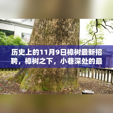 樟树下的招聘奇遇，历史上的11月9日最新招聘信息