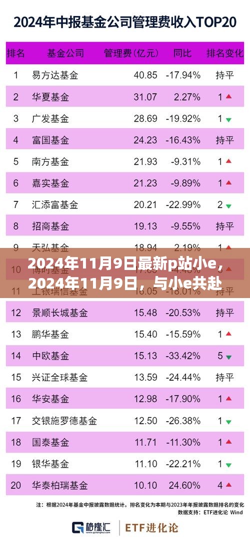 2024年11月9日P站小e之旅，寻找内心的平和与宁静