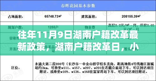 湖南户籍改革日揭秘，小迁的趣事与情感纽带，最新政策解读