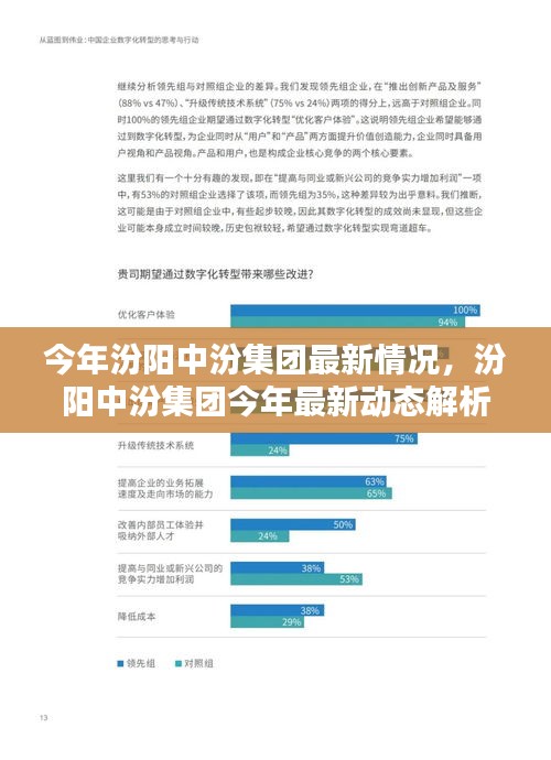 汾阳中汾集团最新动态解析，今年最新情况一览