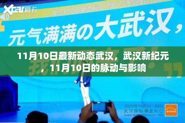 武汉新纪元脉动，11月10日最新动态与影响