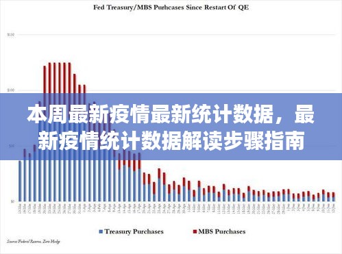 最新疫情统计数据解读指南，从初学者到进阶用户的必备指南