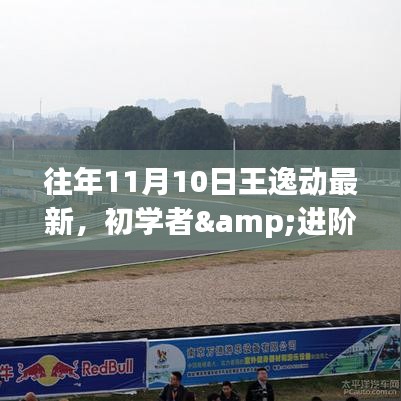 往年11月10日王逸动技能学习全攻略，初学者与进阶用户的必备指南