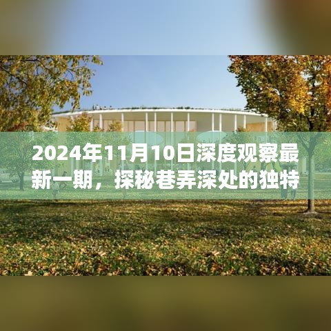 深度观察系列，揭秘巷弄独特风味的美食之旅 —— 2024年11月10日深度观察