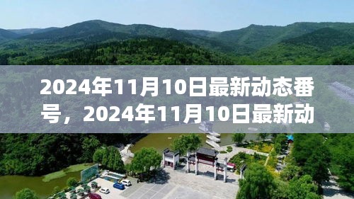 关于涉黄问题的探讨，最新动态与观点探讨（2024年11月10日更新）