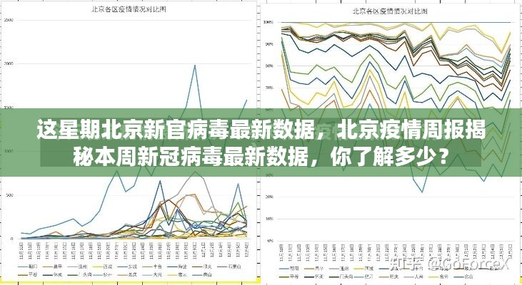 北京疫情周报，本周新冠病毒最新数据深度解析与公众知晓度探讨