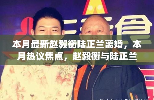 赵毅衡与陆正兰离婚事件，本月热议焦点深度解析