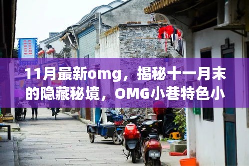 揭秘十一月末隐藏秘境，OMG小巷特色小店探秘之旅