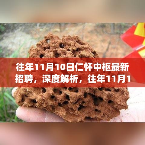 往年11月10日仁怀中枢招聘深度解析，一种独特视角的观察报告